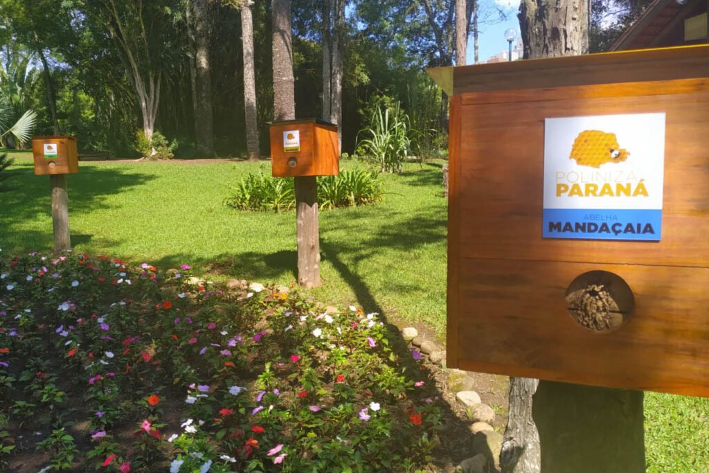 Dia Nacional da Abelha. Foto: Denis Ferreira Netto;SEDEST 