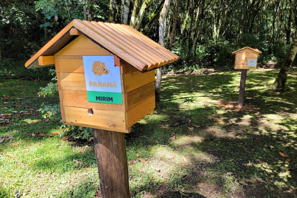 Dia Nacional da Abelha. Foto: Denis Ferreira Netto;SEDEST 