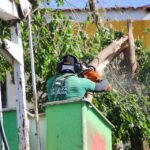 Força-tarefa da Prefeitura reúne mais de 400 servidores nas ruas no feriado e fim de semana