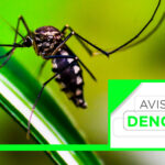 Aviso de dengue