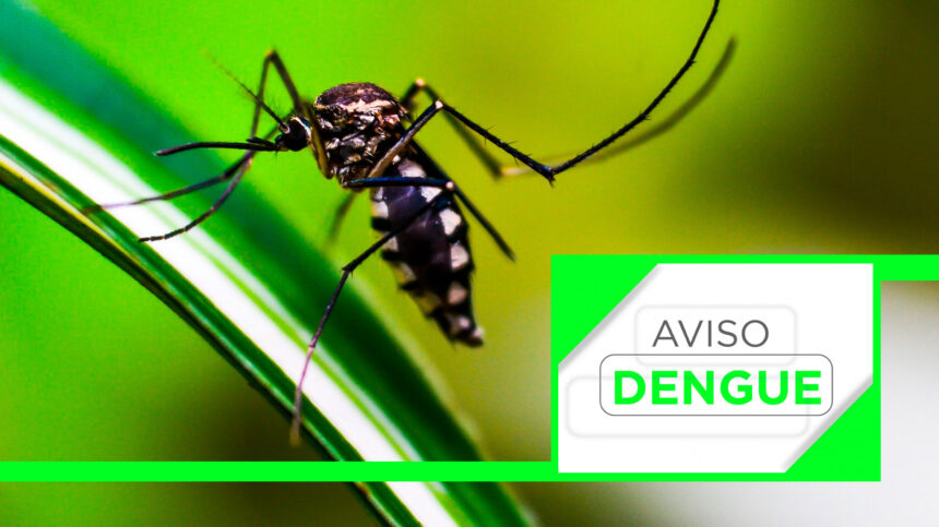 Aviso de dengue