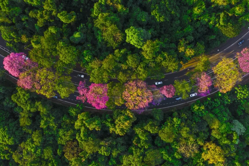 Prêmio Mérito Ambiental Adriano José Valente