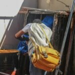 infestação da dengue