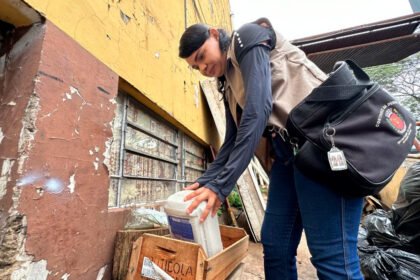 mutirão de combate à dengue