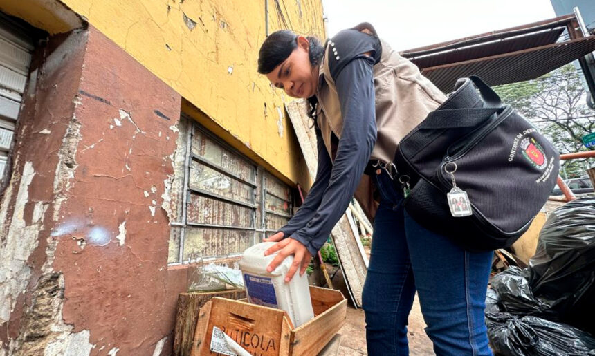 mutirão de combate à dengue