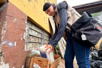 Mutirão de combate à dengue em Maringá