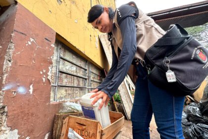 Mutirão de combate à dengue em Maringá