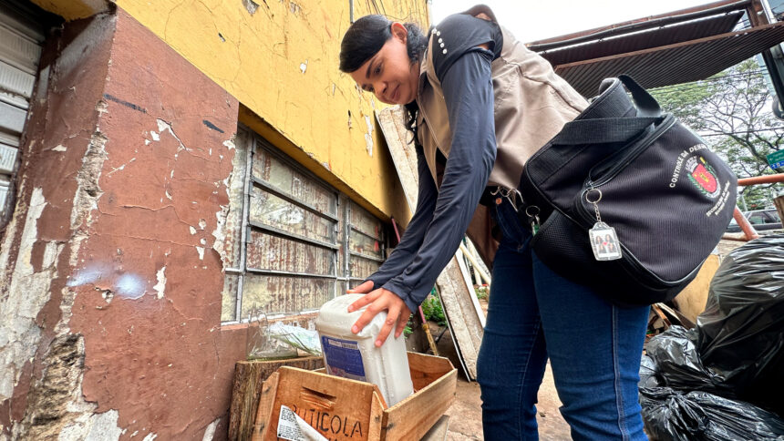 Mutirão de combate à dengue em Maringá