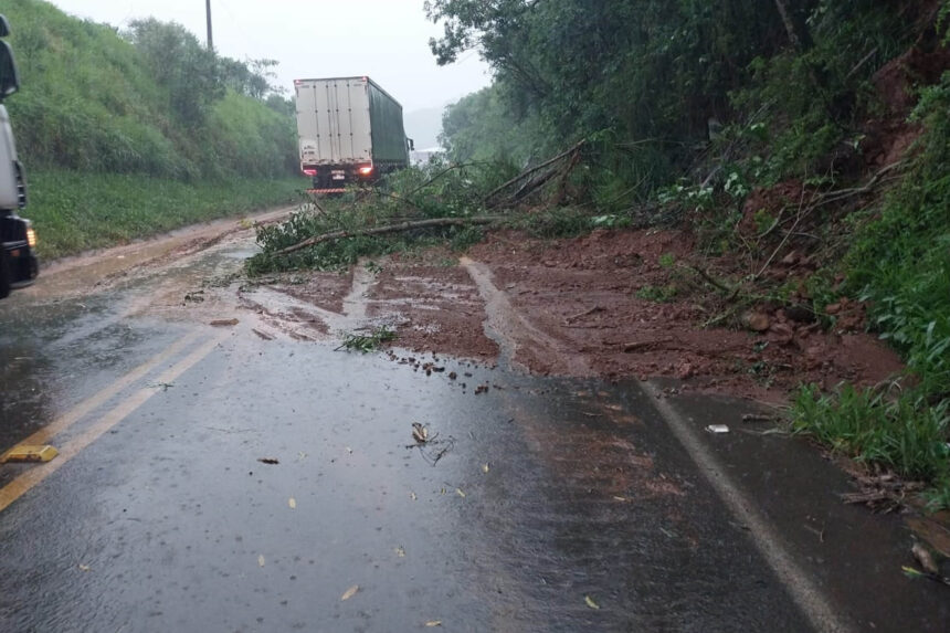 danos em rodovias estaduais