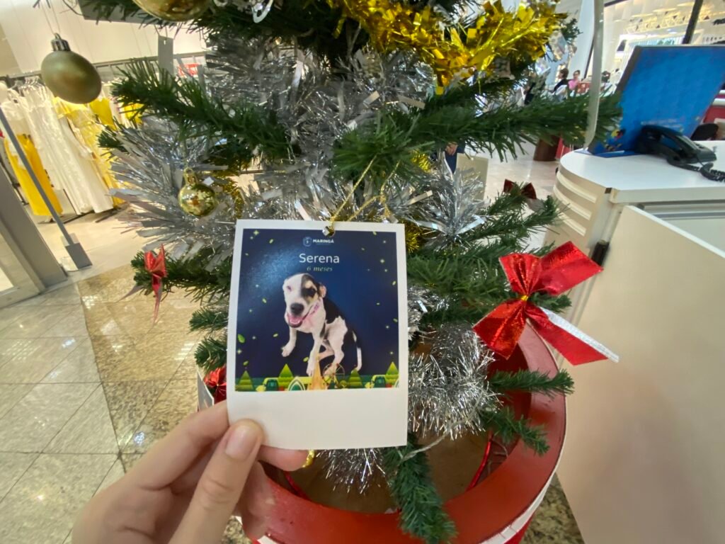 Árvore da Esperança no Shopping Maringá Park, decorada com fotos de pets incentiva adoção responsável