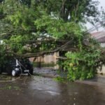 Chuva forte causa queda de árvores em Maringá