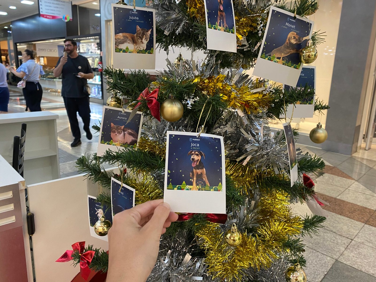 Árvore da Esperança decorada com fotos de pets
