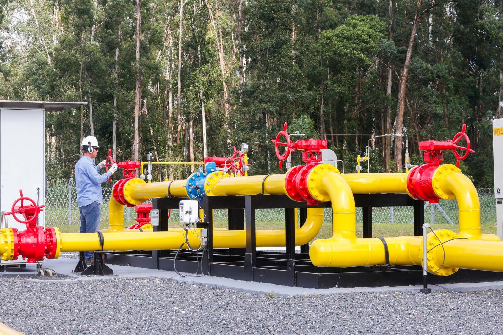 Com mais de 54 mil clientes, Compagas tem ano marcado pela sustentabilidade