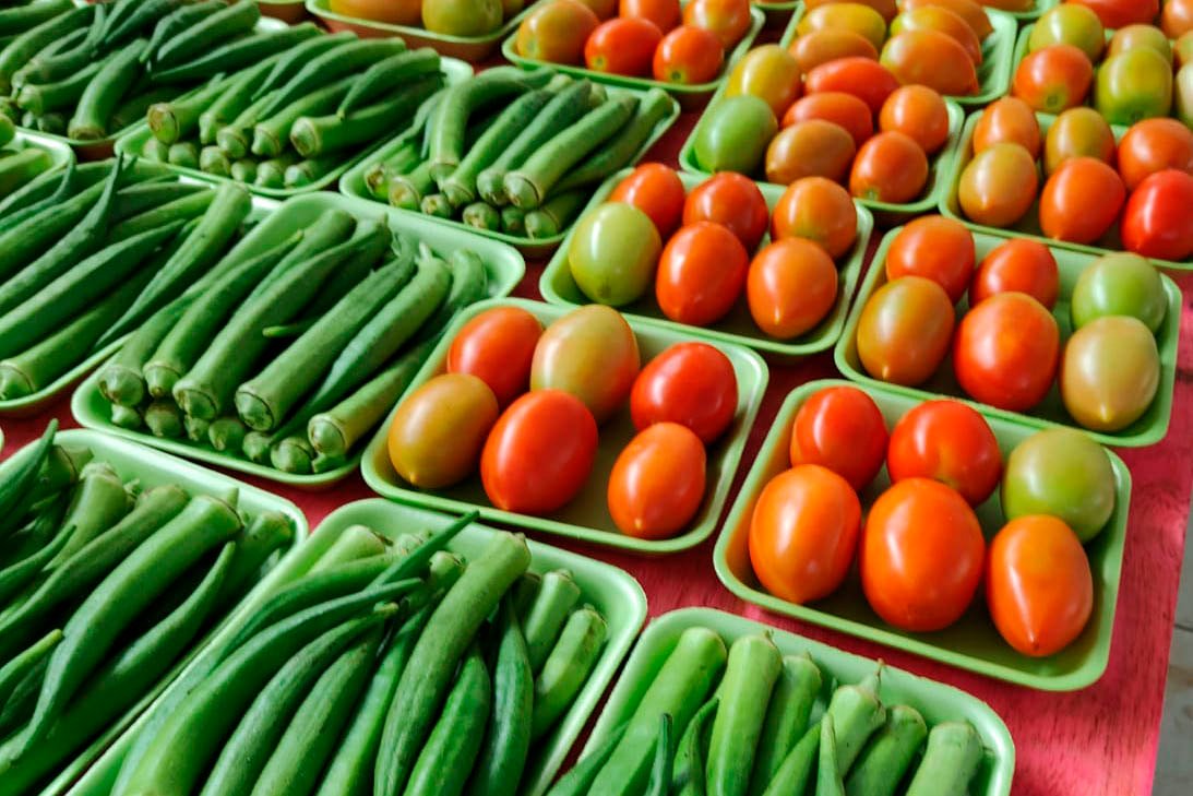 Segurança alimentar e agricultura familiar