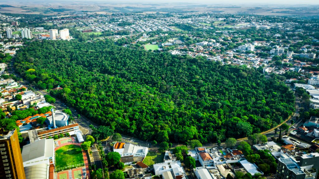 Bosque 2, Maringá Paraná, área verde, meio ambiente