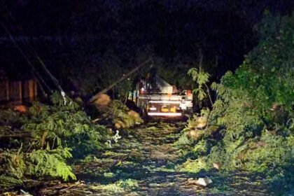 Chuva em Maringá causa queda de árvores, derruba postes e deixa região sem energia
