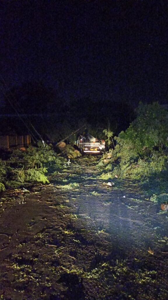 Chuva em Maringá causa queda de árvores, derruba postes e deixa região sem energia