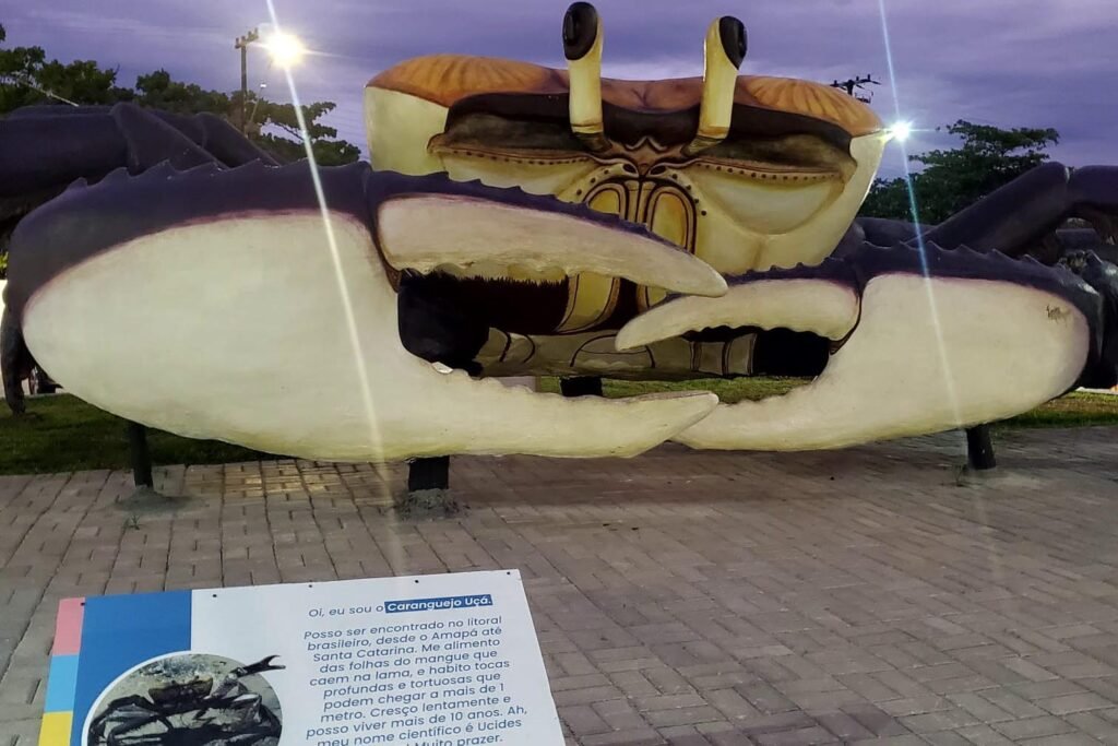 Festival do caranguejo mobiliza turistas em Pontal do Paraná a partir desta sexta-feira