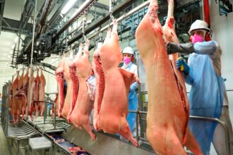 Exportações do agronegócio paranaense cresceram 40,8% em volume em 2023