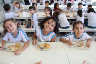 Maringá garante segurança nutricional em escolas públicas e Cmeis com mais de 425 toneladas de alimentos da agricultura familiar