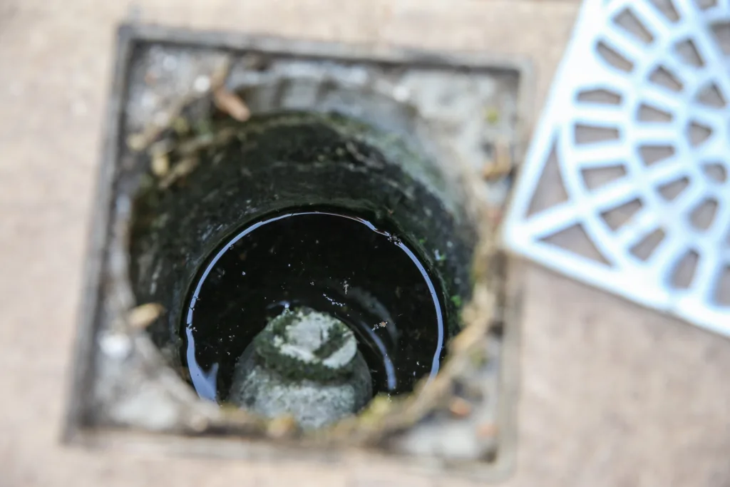 mobilização contra a dengue