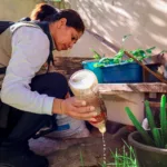 Dia D Nacional de Combate à Dengue