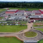 Sistema prisional terá cães e gatos para capacitar reclusos