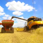 Colheita atípica de soja em janeiro levou a aumento de 282% nas exportações do Paraná