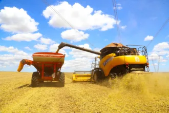 Colheita atípica de soja em janeiro levou a aumento de 282% nas exportações do Paraná
