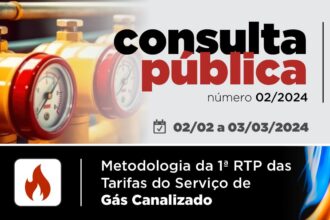 Consulta Pública