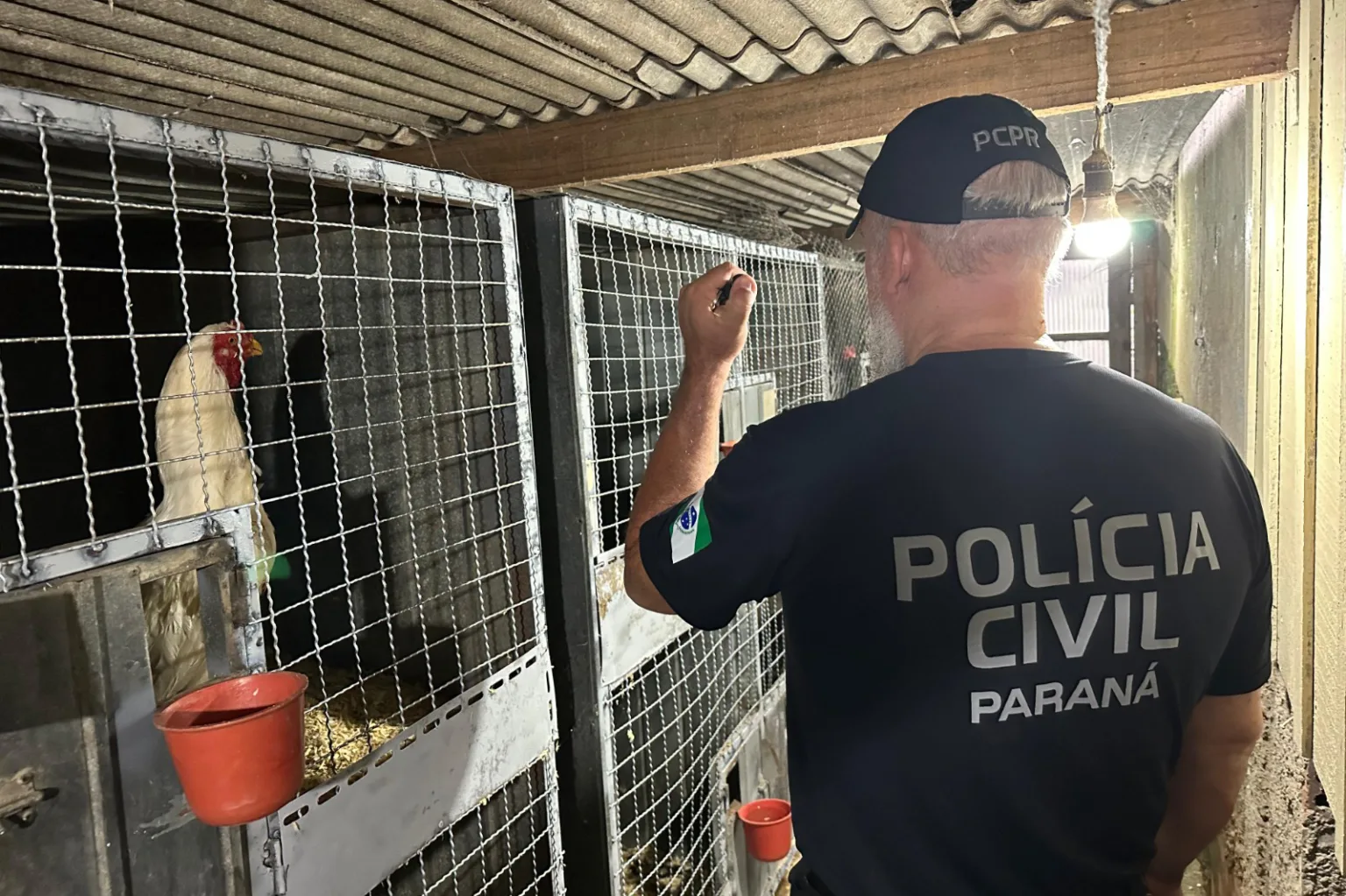 Polícia Civil do Paraná apreende 390 animais silvestres em megaoperação contra rede de tráfico internacional