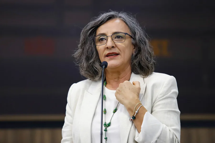 Vereadora Professora Ana Lucia