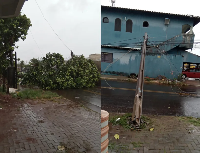 Tempestade, poste e árvores caíram