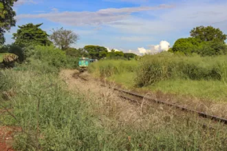 Prefeitura de Sarandi multa Rumo Logística em R$ 235 mil por não executar roçada no entorno dos trilhos