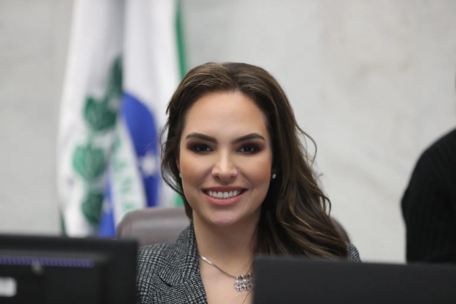 Deputada Maria Victoria (PP)