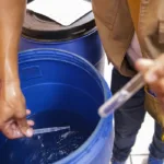 Número de mortes por dengue no Distrito Federal sobe para 77