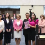 O objetivo foi agrupar o conjunto de normas vigentes que interferem na vida das mulheres, de modo a facilitar o acesso por toda população, organizando as leis pela sua pertinência temática, promovendo ainda, se possível e necessário, uma revisão dos dispositivos sobre os mais diversos assuntos.Créditos:Orlando Kissner/Alep