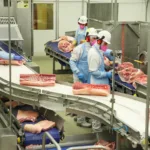 Foto: José Fernando Ogura/Arquivo AEN