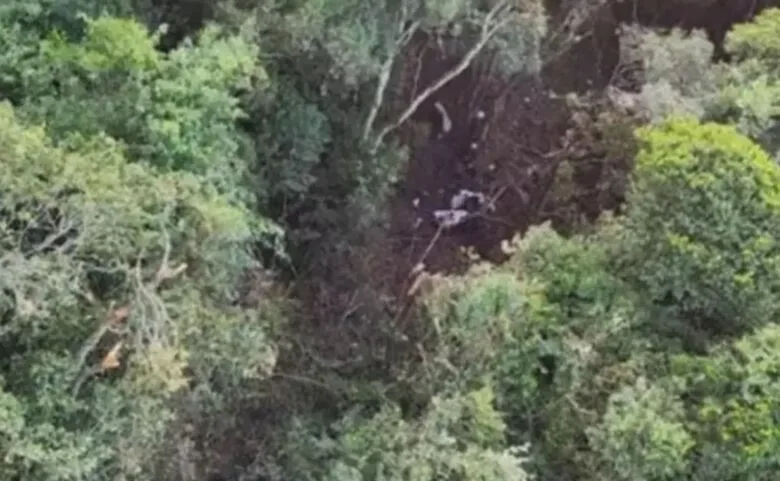 Avião que caiu na Serra do Japi