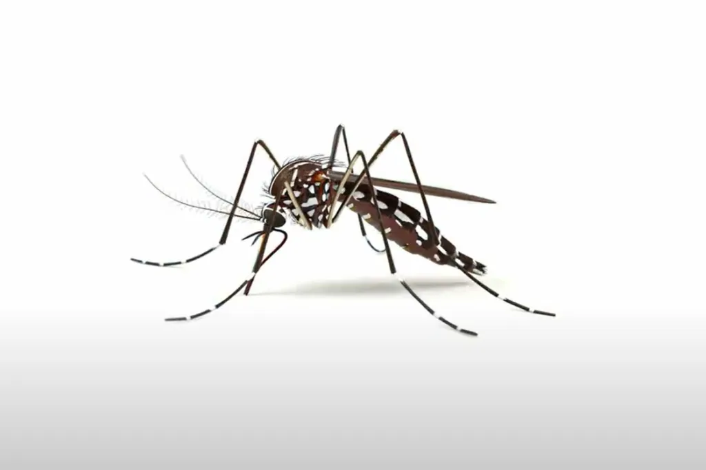 Estado lança campanha contra a dengue com inteligência artificial