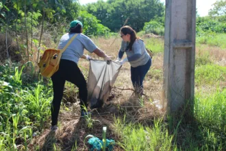 Mutirão de combate à dengue em Sarandi