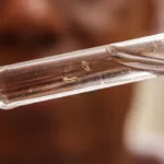 Brasil passa de 4 milhões de casos de dengue