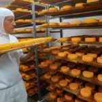 107 mil novos empregos em 78% das cidades: Paraná é destaque nacional nos últimos 12 meses Foto: Gilson Abreu/SGAS