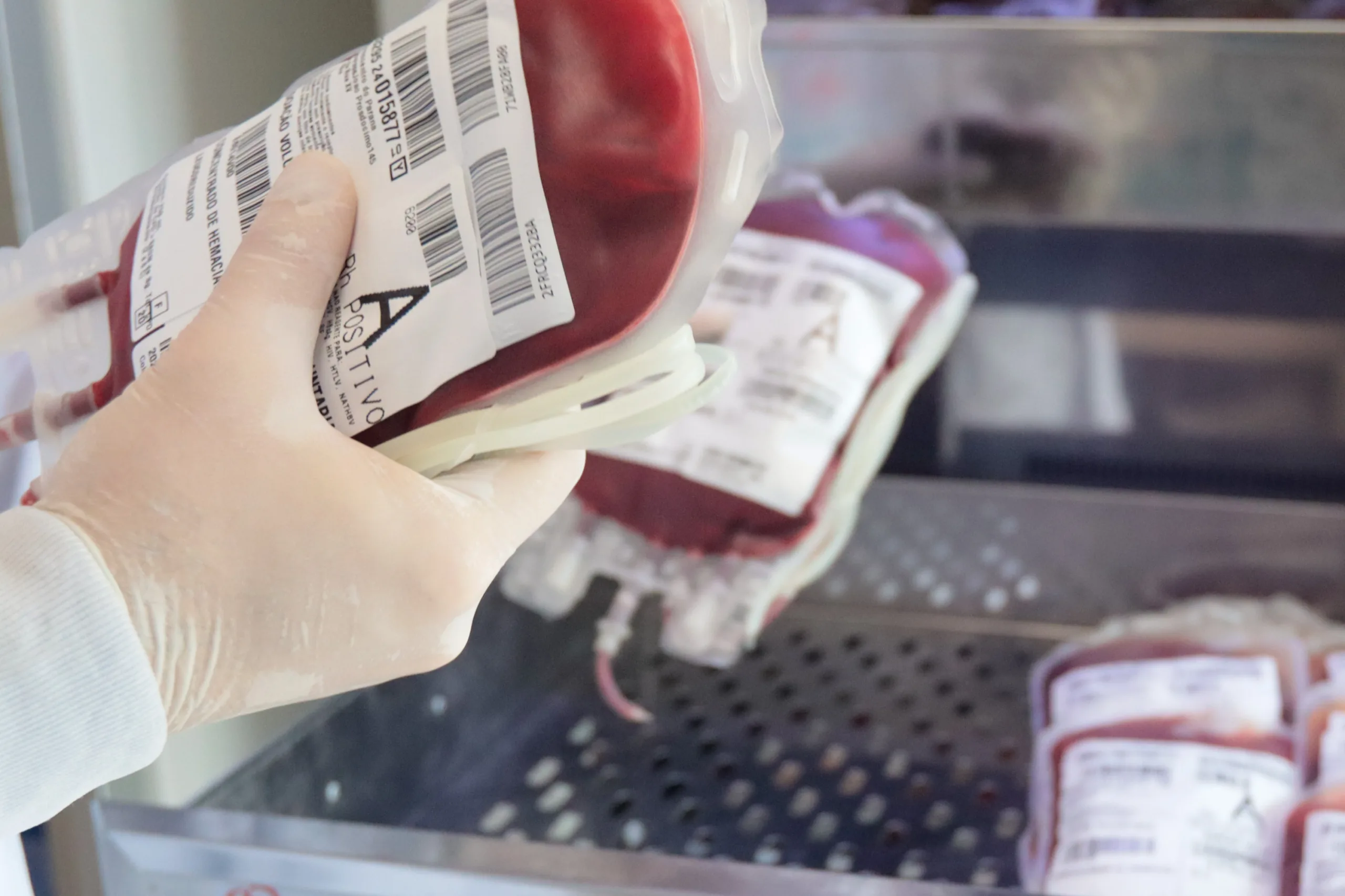 SOS RS | Paraná envia 300 bolsas de sangue para ajudar o sistema de saúde do Rio Grande do Sul