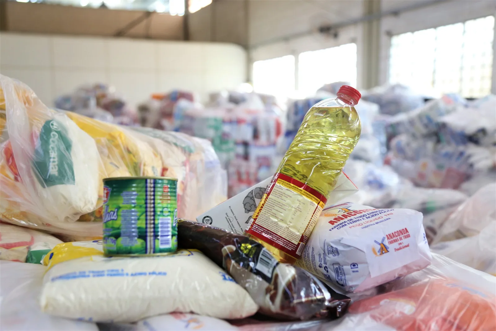 Com portões abertos na Expoingá, Prefeitura arrecada cerca de 20 toneladas de alimentos