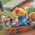 Tragédia: chega a 39 o número de mortes no Rio Grande do Sul por causa das chuvas