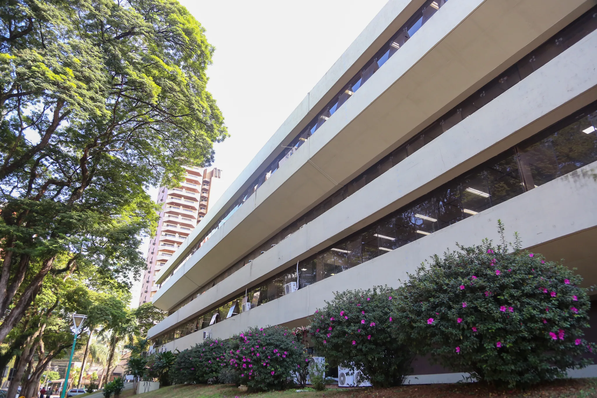 Os editais contemplam 137 cargos, além de cadastro de reserva, para 26 funções (Crédito: Rafael Macri / PMM)