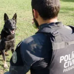 Junho Branco: Polícia Civil do Paraná promoverá ações de conscientização e prevenção ao uso de drogas