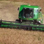 Paraná deve colher 646 mil toneladas de feijão, 34% a mais que em 2023 Foto: Gilson Abreu/SGAS