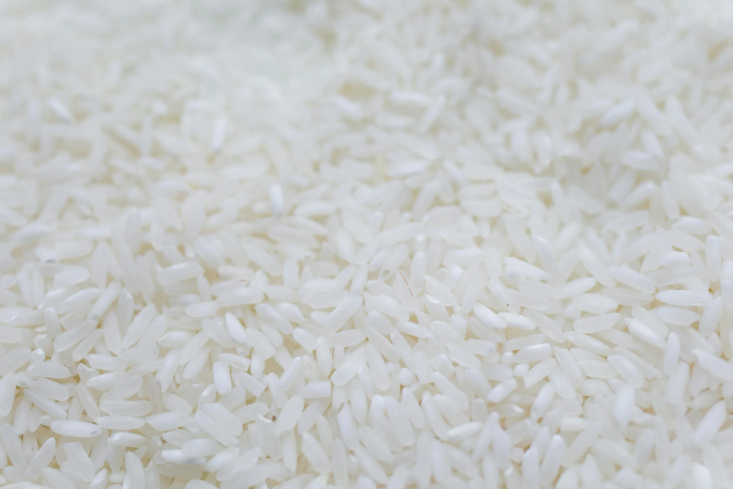 arroz importado